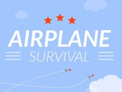 Supervivencia del Avión