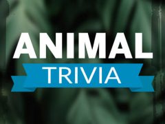 Trivia de Animales