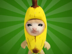 Escape de Gato Banana